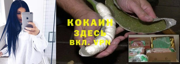 твердый Кирс
