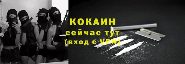 крисы Слюдянка