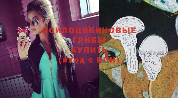 крисы Слюдянка