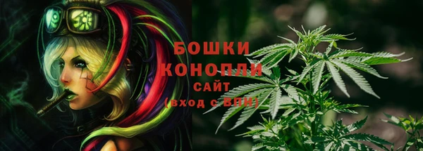 твердый Кирс